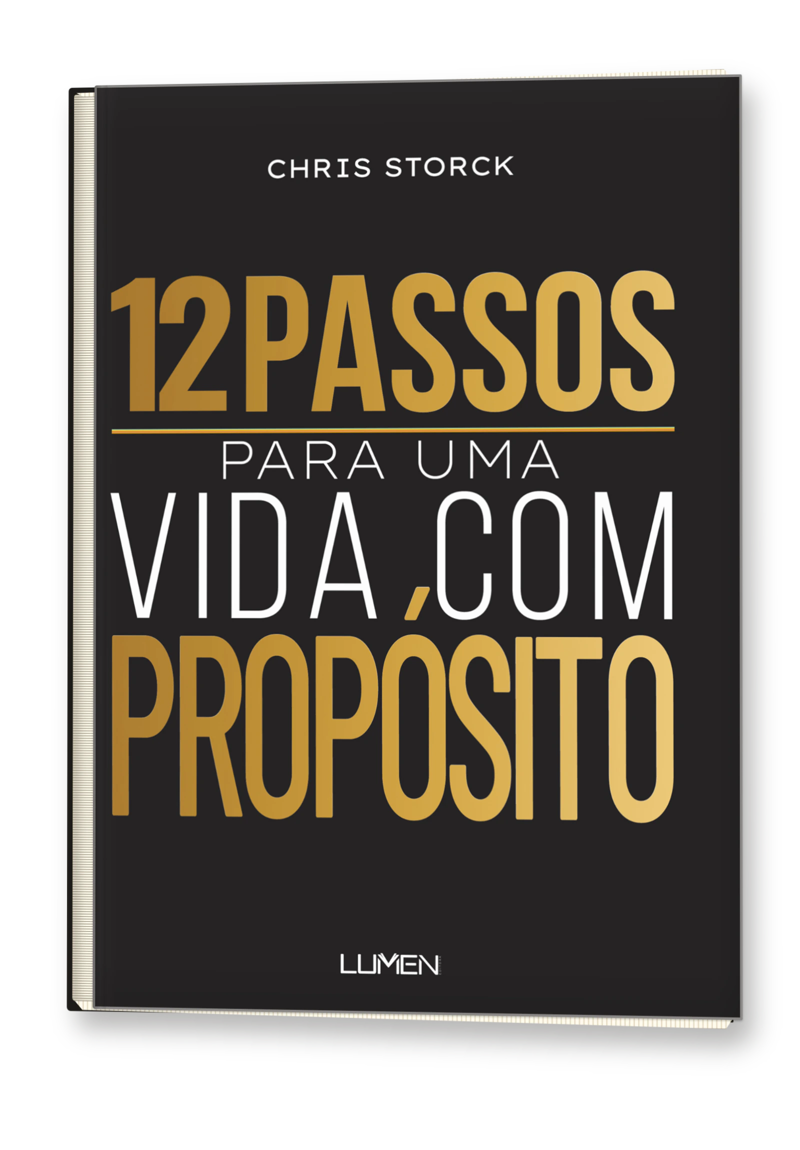 Livro 12 Passos, de Chris Storck